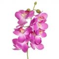 401/0538К Орхидея