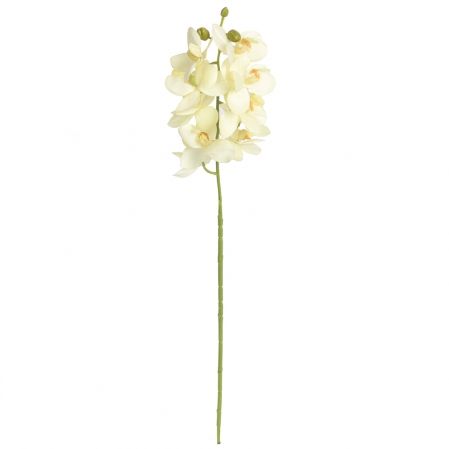 401/0538К Орхидея
