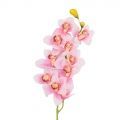7141/9236-1/20 Орхидея Цимбидиум латекс(бело-розовый) 92см (9г)