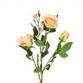 401/0008-4L(Sale) Роза искусственная бархатная, 2 головы, 1бутон, h80см, кремов.