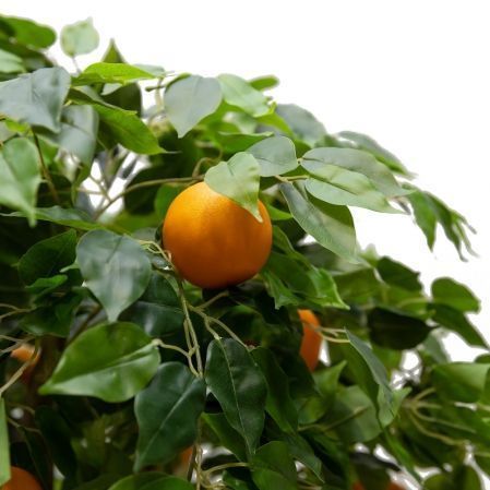 180/РПК/24М-2(з.) Апельсиновое дерево h180см(латекс)