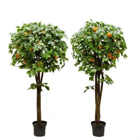 180/РПК/24М-2(з.) Апельсиновое дерево h180см(латекс)