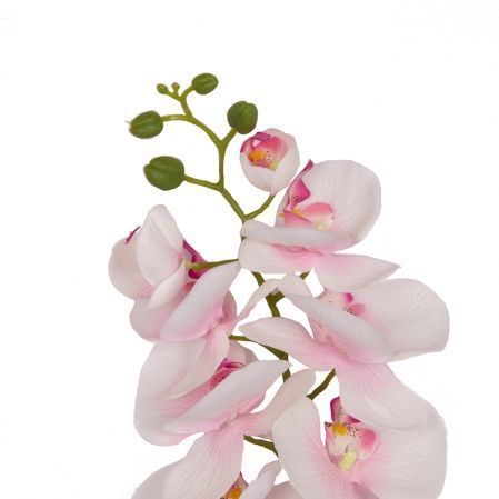 401/0008-20L Орхидея сатиновая h95см (бело-розовая)
