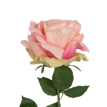 401/5402/1К Роза одиночная h78см (розовый)