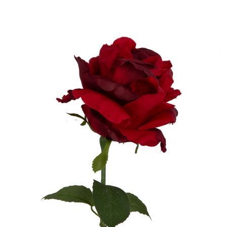 401/5402/2К Роза одиночная h78см (красный)