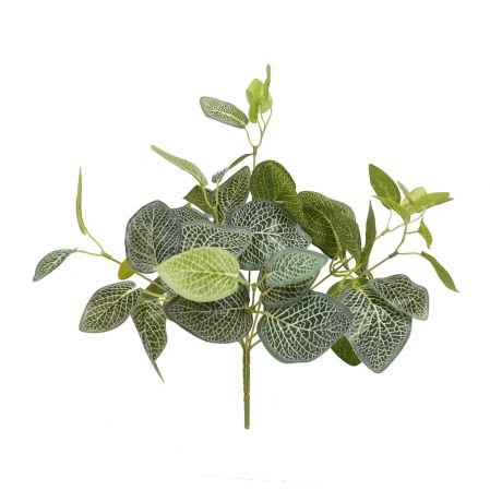 7143/0760-37 Фиттония искусственная куст 8 частей h39см (28+11), зелено-белая