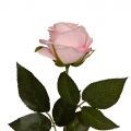 401/0391-20А Роза искусственная бархатная (бело-розовая) h 67см