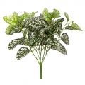 7143/0411-7 Аукуба Вариегата искусственная куст 8 частей h41см (32+9), зелено-белая