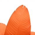150/К/360-1(з.) Банановая пальма h150см (оранжевая) в интерьерном кашпо