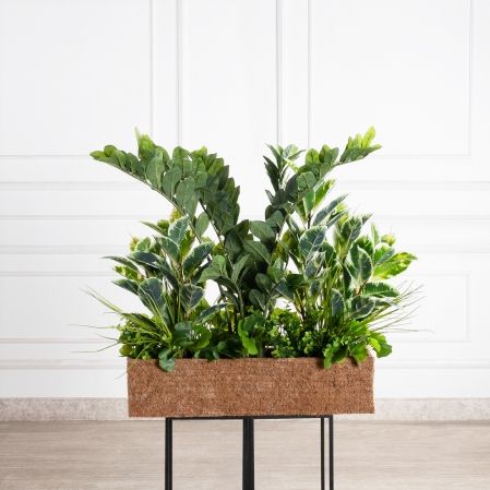 К361(УУ)(Пр)(F) Композиция искусственная Микс с Замиокулькасом в кокосовом боксе 65х15хh15см