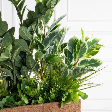 К361(УУ)(Пр)(F) Композиция искусственная Микс с Замиокулькасом в кокосовом боксе 65х15хh15см