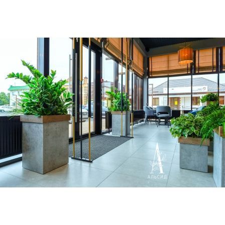 К361(УУ)(Пр)(F) Композиция искусственная Микс с Замиокулькасом в кокосовом боксе 65х15хh15см