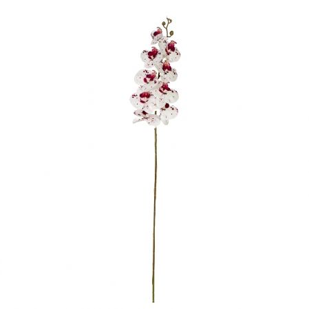 7141/А2785-05/23-1 Орхидея h108см(латекс)(бел.с бордовым)