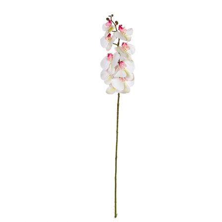 7141/А2785-05/23-2 Орхидея h108см(латекс)(бел.с малинов.)