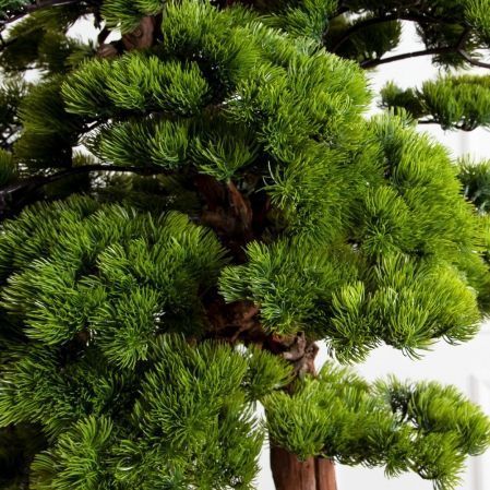 БС180/ОС/30(з)(F) Бонсай искусственный Сосна h180см