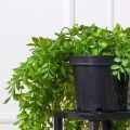 КС115(з)(Пр)(F) Композиция искусственная Микс ампельных растений в кашпо, свес 70-80см