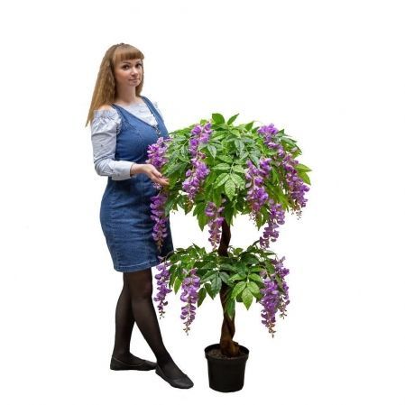 120/Я2/ОС/424-2 Глициния(вистерия) искусственная h120см (латекс), сиреневая