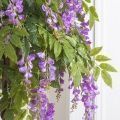180/ПК/424-2(Пр) Глициния(вистерия) искусственная h180см (латекс), сиреневая