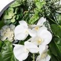 ФП04-2(з) Фитопанно искусственное с орхидеей d45см