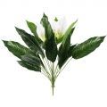 7143/0760-39/2 Спатифиллум искусственный куст цветущий 18 частей (15листьев+3 цветка) h76см (68+8)
