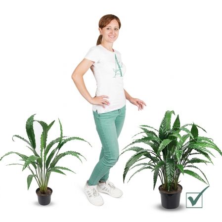 075/К/430(Promo) Калатея искусственная куст h75см, в кашпо d19см