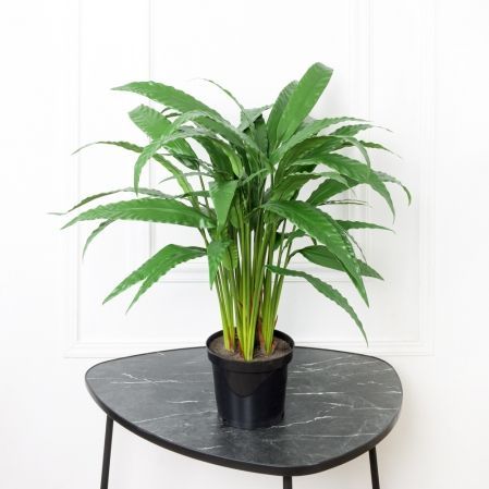 075/К/430(Promo) Калатея искусственная куст h75см, в кашпо d19см