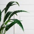 070/К/430(F) Калатея искусственная куст h70см в кашпо