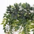 Л49-1 Лиана Вистерия L100см свес 75см