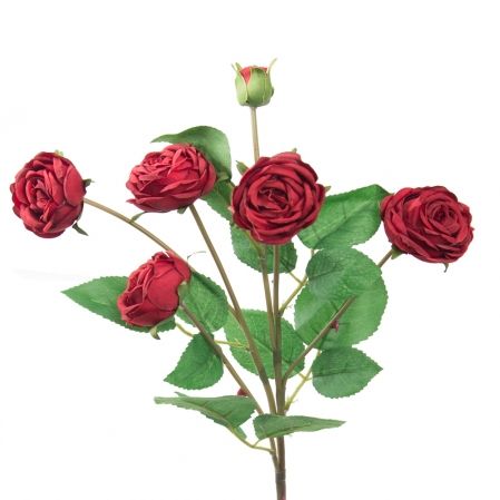 7141/А2790-01/2 Роза пионовидная красная h70см(5г+1б)(294)