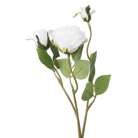 7141/А2790-09/23 Роза кустовая белая h42см(1г+2бут)(871)