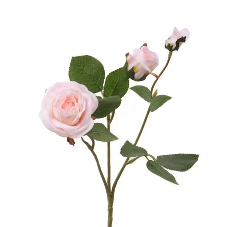 7141/А2790-09/1 Роза кустовая розовая h42см(1г+2бут)(871)
