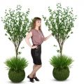 ККДД180/200(з.) Кокедама d40см Дерево с распускающимися листочками h180см