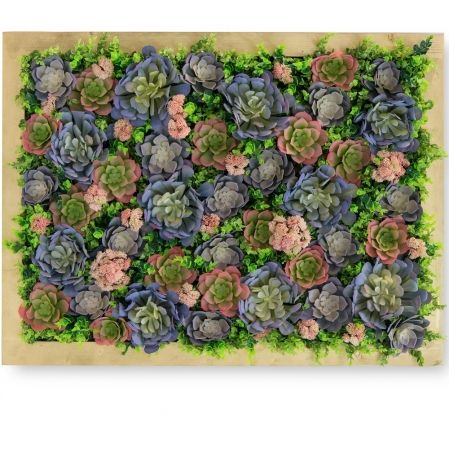 СКФ08(з) Фитокартина с суккулентами в золотой раме 60*80