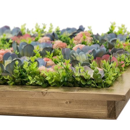 СКФ08(з) Фитокартина с суккулентами в золотой раме 60*80