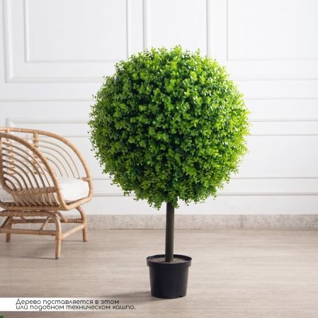 СШК110/2288(F) Самшит-шар d70см "Элит" на стволе