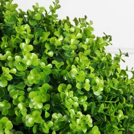 СШК110/2288(F) Самшит-шар d70см "Элит" на стволе