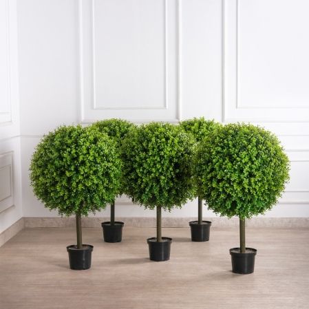 СШК110/2288(F) Самшит-шар d70см "Элит" на стволе