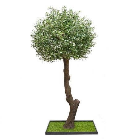 245разб/410(з.)(М)(Fix) Оливковое дерево Премиум разборное h245