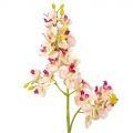 401/0230-20 Орхидея h70см с прожилками кремово-розов.с малинов.