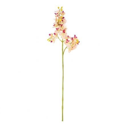 401/0230-20 Орхидея h70см с прожилками кремово-розов.с малинов.