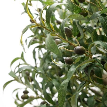 180/О/410(М)(Fix) Оливковое дерево с плодами h180см