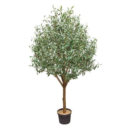 180/О/410(М)(Fix) Оливковое дерево с плодами h180см