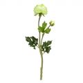 7141/9139-1/9(Уценка) Ранункулюс искусственный 1 голова, 1 бутон, h48см, зеленый