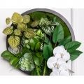 ФП04-4(з)(F) Фитопанно искусственное с орхидеей, d45см