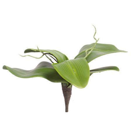 7143/9126-021/2 Лист орхидеи мал.