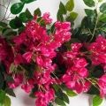 Л74(Пр)(F) Лиана искусственная с Бугенвилле́ей L100см