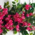 Л74(Пр)(F) Лиана искусственная с Бугенвилле́ей L100см