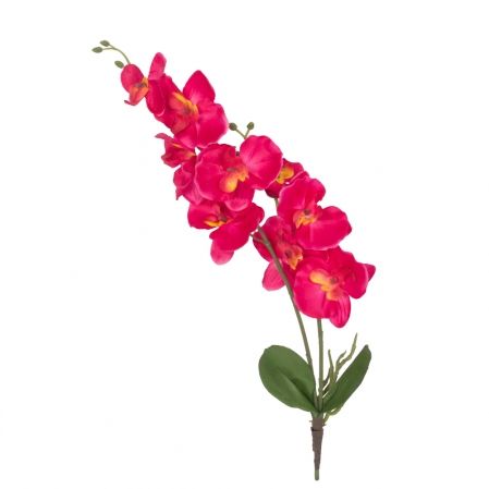 7141/91673А Орхидея малиновая с листами и корнем