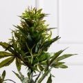 070/400(з)(F) Конопля искусственная ветка h70см