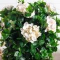 090/К/461-2(Пр)(F) Гортензия искусственная (латекс) h90см, кремовая 090/К/461-2(Пр)(F) Гортензия искусственная (латекс) h90см, кремовая
